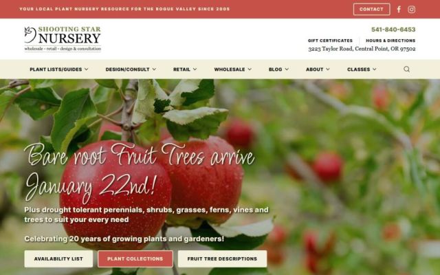 Shooting Star Nursery