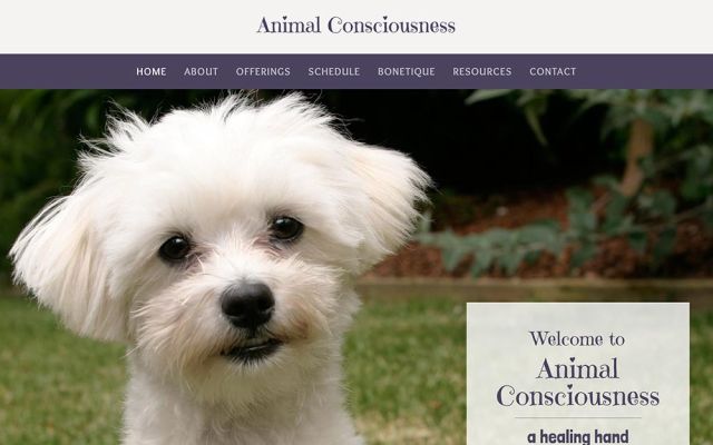 Animal Consciousness